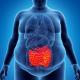 Les protéines intestinales comme nouveaux biomarqueurs des complications de l’obésité 